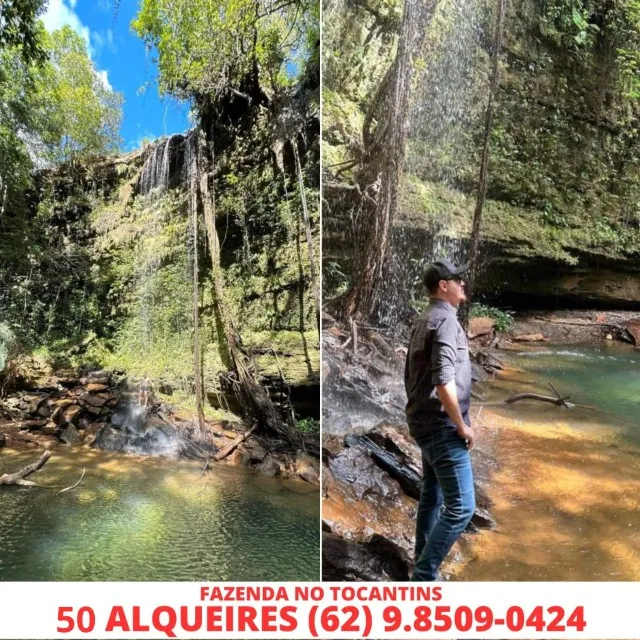 Fazenda de Porto Nacional Tocantins Estado 50 Alqueires com 32 de Pasto Formado
