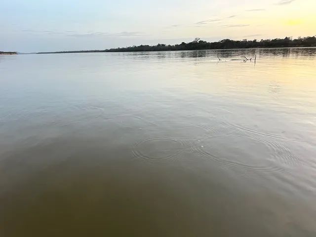 Sítio 60 hequitareas serra gande 1 cantá  - Foto 4