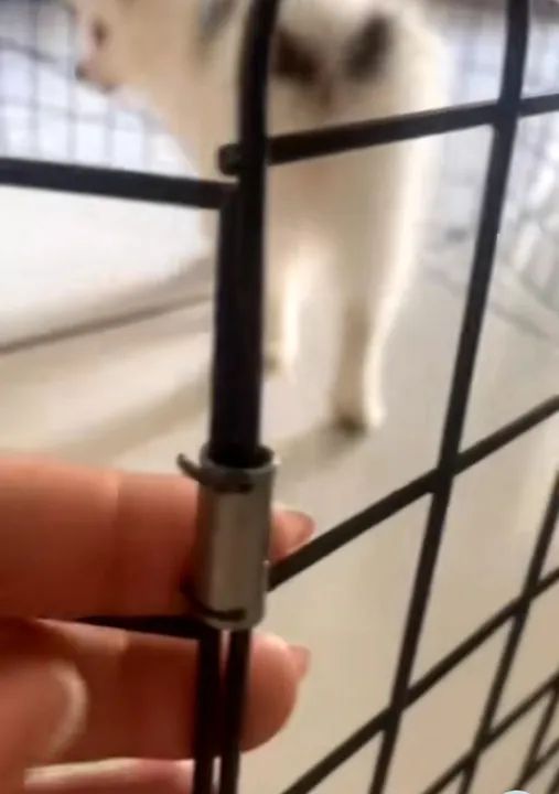 Cercadinho para pet - Foto 4