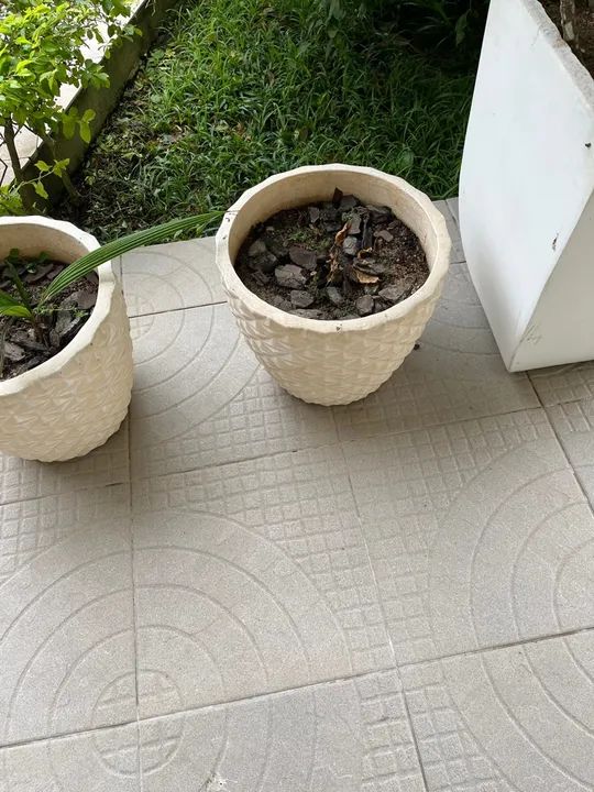 Quatro vasos de planta em - Foto 2