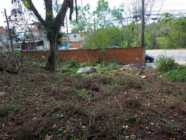 Ótima Oferta: Terreno Amplo Próximo à Natureza 6532 m2 - Foto 4