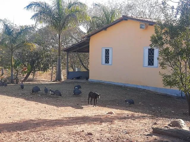 Fazenda à venda - Unaí - Foto 4