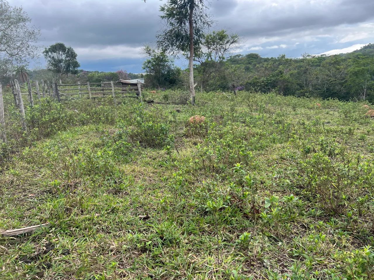 Lindas Chacaras  - Foto 2