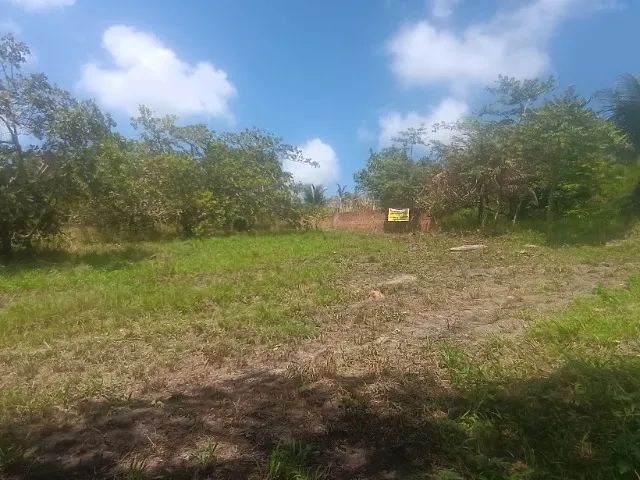 Terrenos 