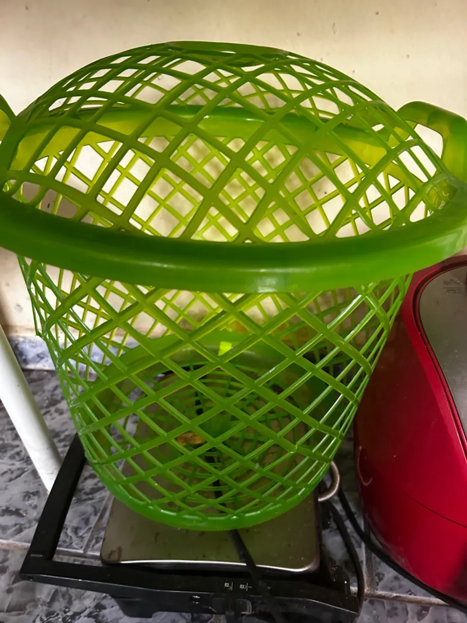 Cesto plástico verde vazado
