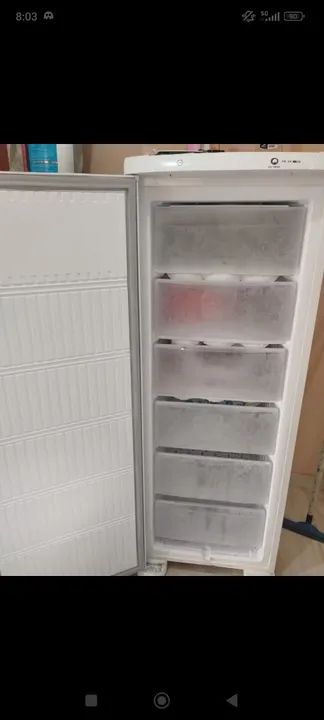 Freezer Vertical Electrolux Branco - Foto 4