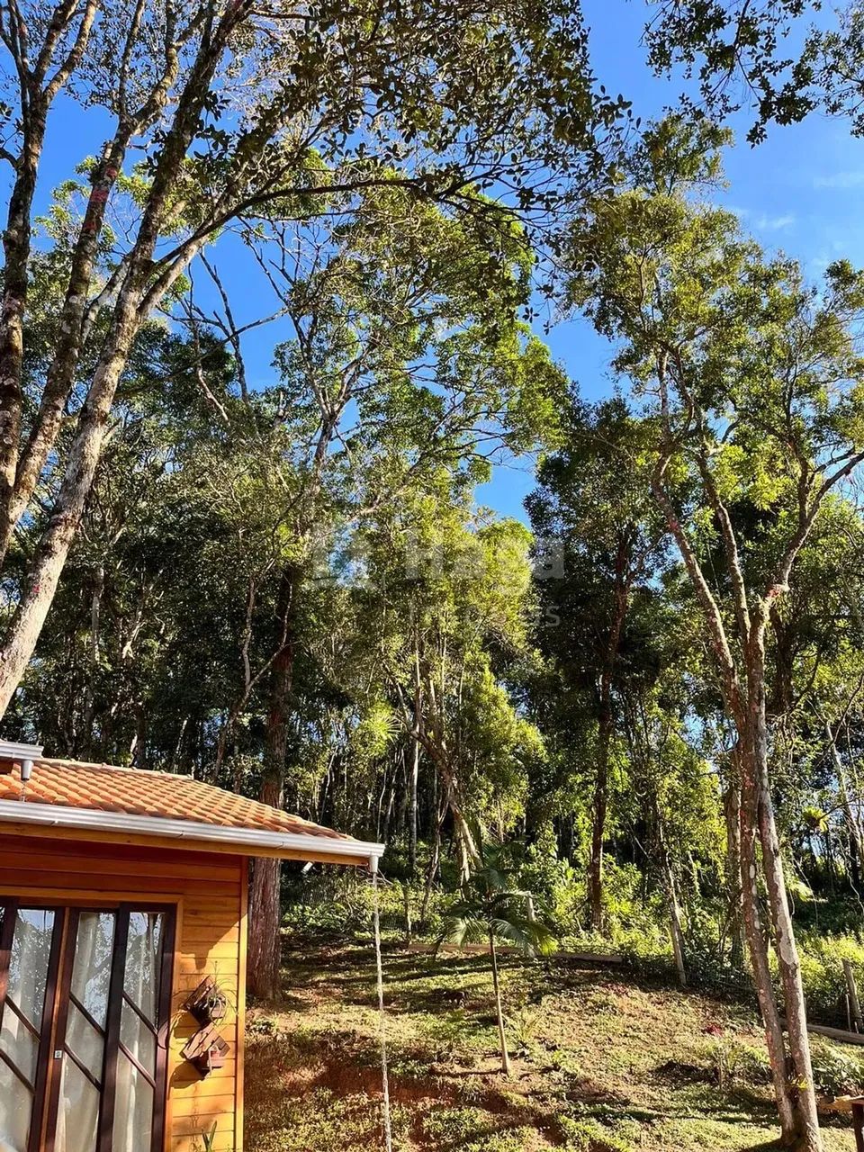 Sítio à venda em Canelinha/SC - Foto 4