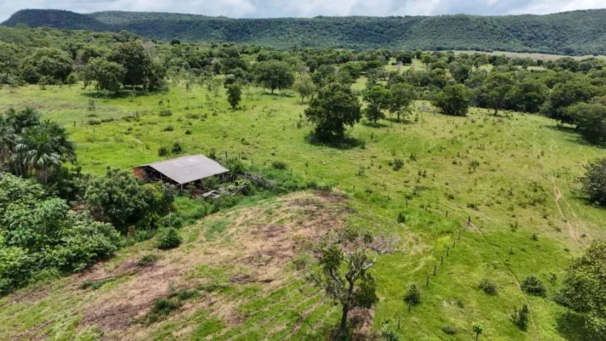 Chácara 35 Hectares em Bandeirantes-MS! - Foto 3