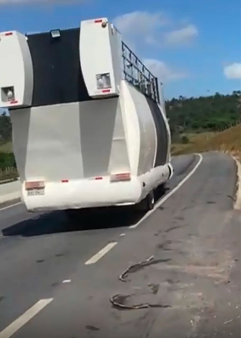 TRIO ELÉTRICO GATO SOM / AGENDE JÁ!! - Foto 7