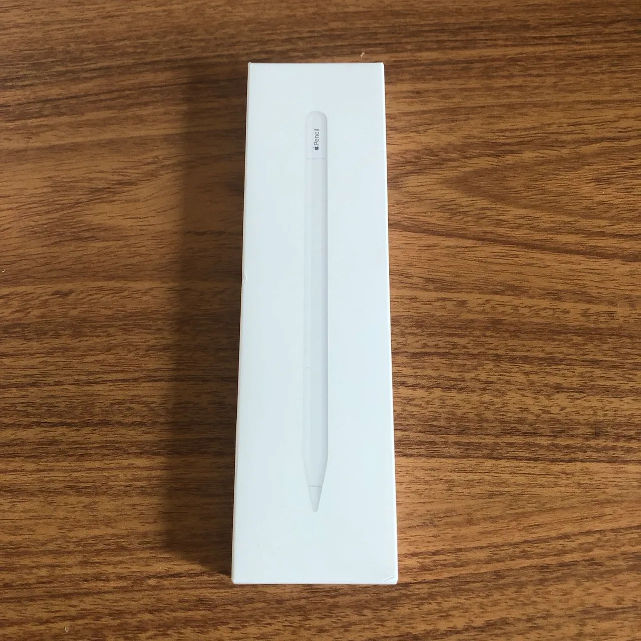 Apple Pencil USB-C para iPad 10 e iPad 11 Nova e Lacrada