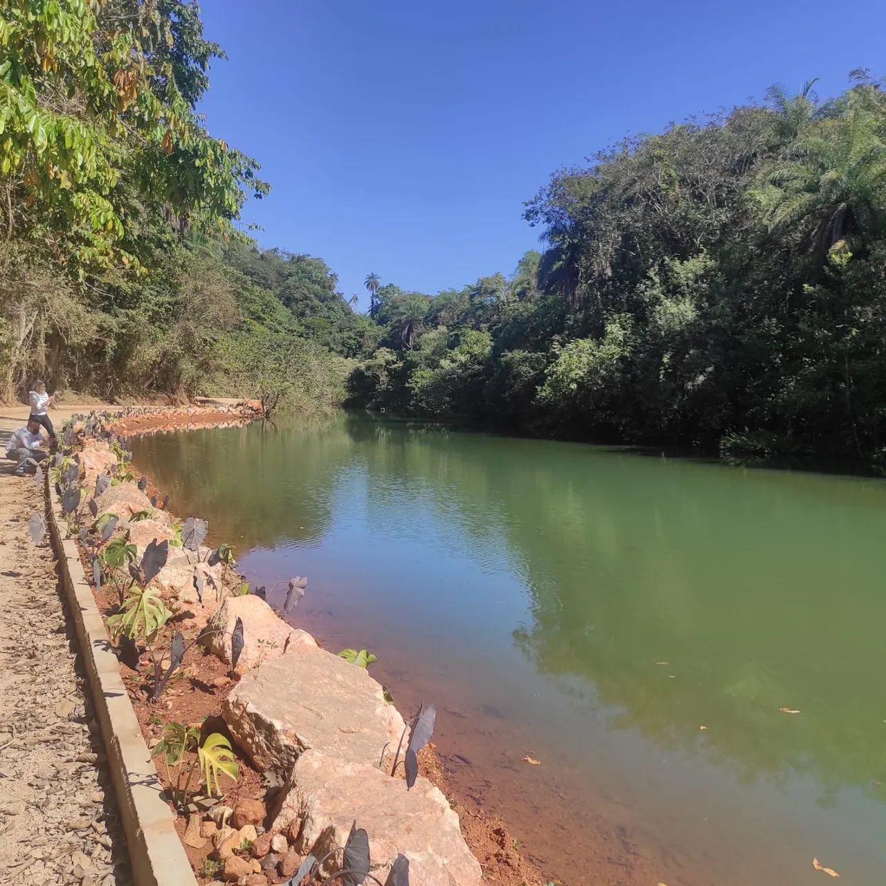 Fazendinhas dentro de lagoa santa a 10 minutos da lagoa central, 40 minutos de BH - Foto 5