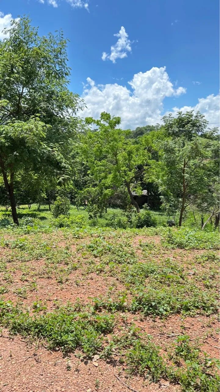 Chácara em Caldazinha troco por casa e carro - Foto 5