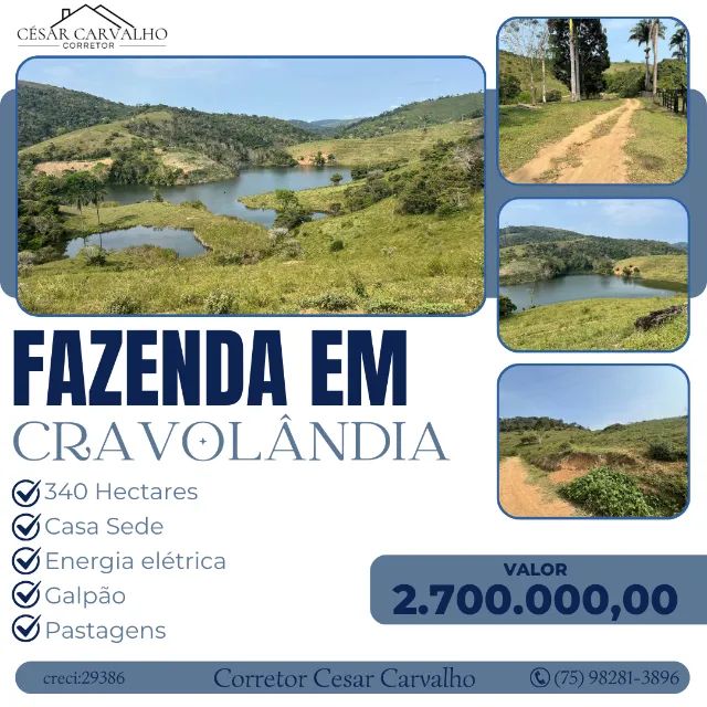 FAZENDA EM CRAVOLÂNDIA - 340 HECTARES