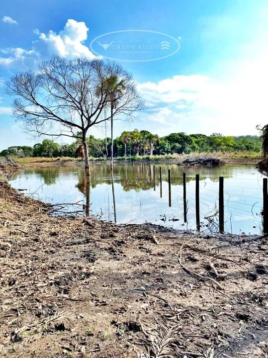 Fazenda Extra em Dueré-TO ! 301 Alqueires ! 500 Há para Lavoura - Foto 4