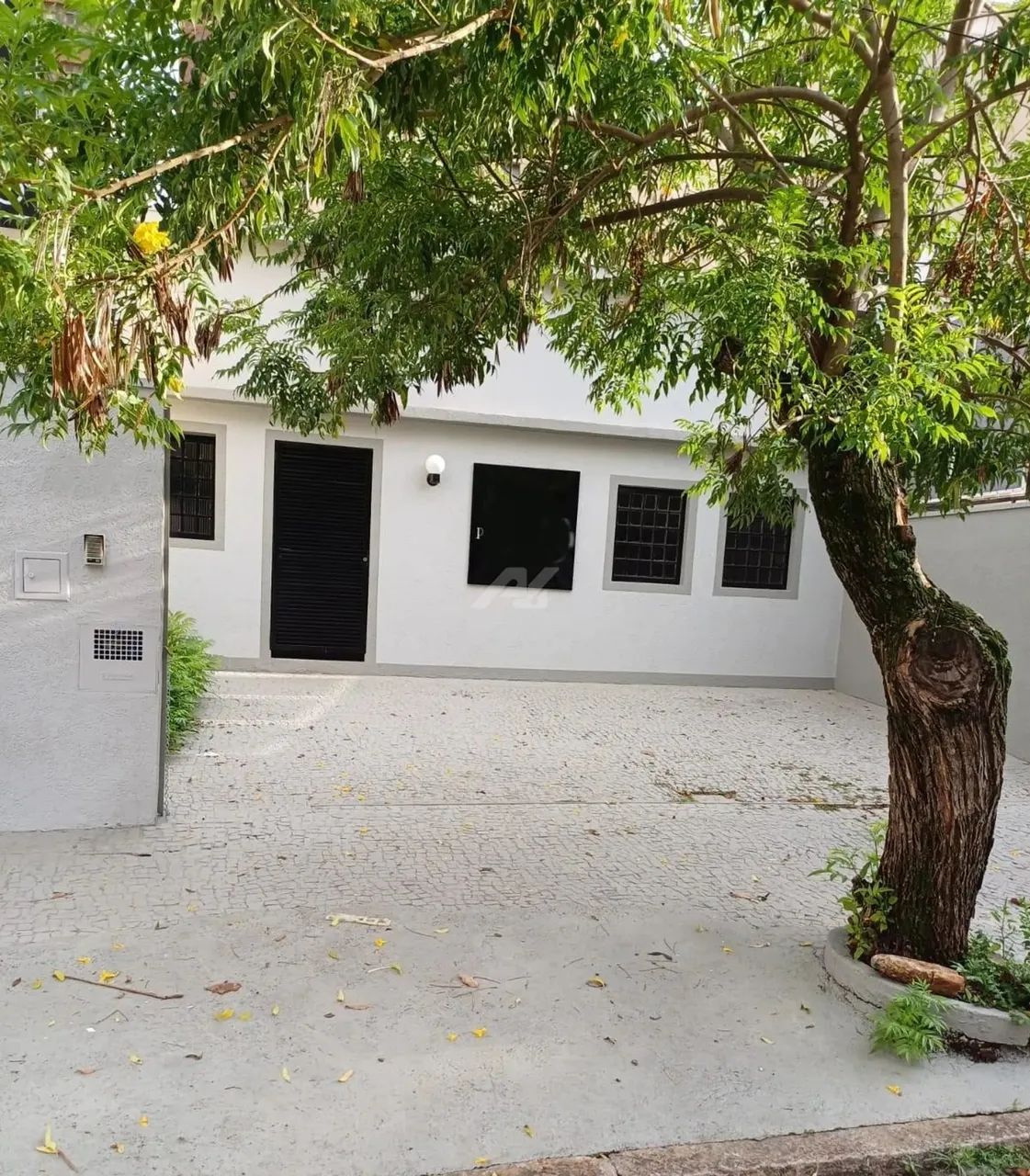 casa - Cambuí - Campinas - Foto 2
