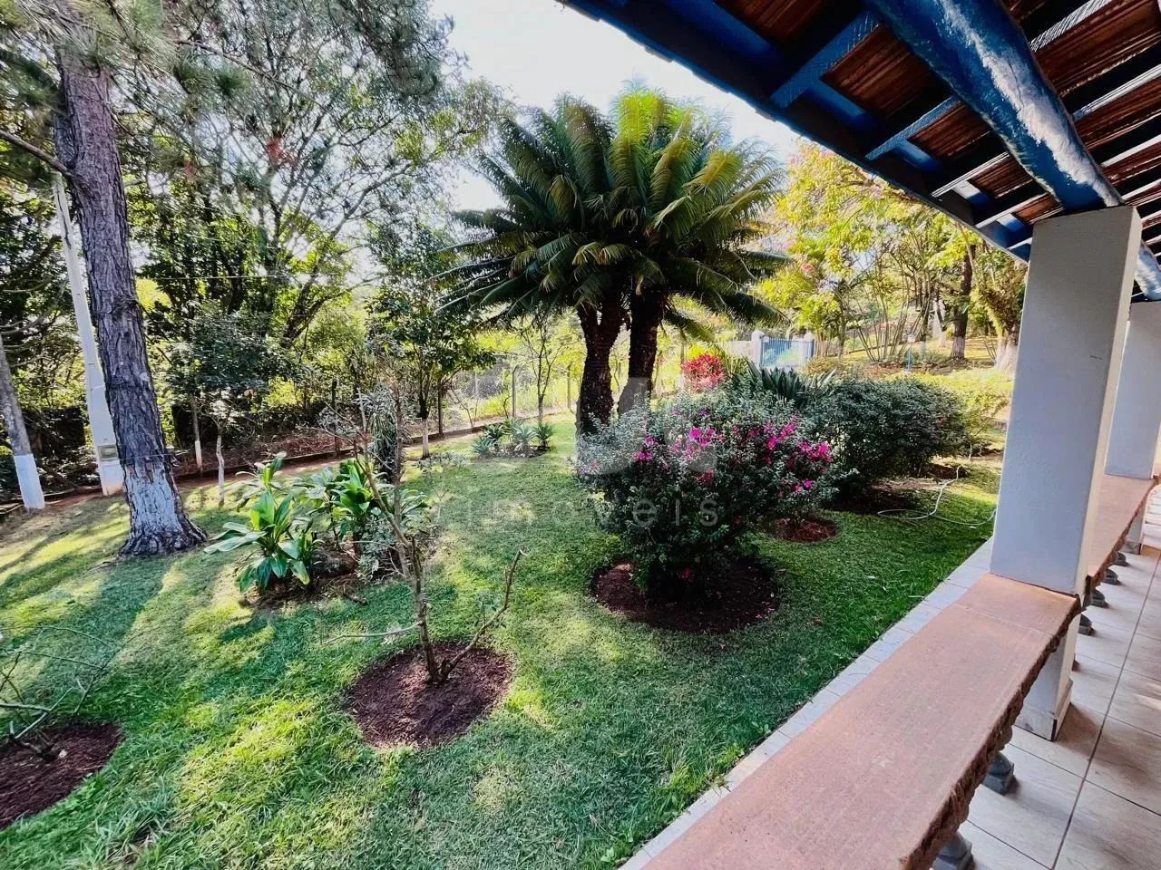 chácara - Vila Marieta - Campinas - Foto 2