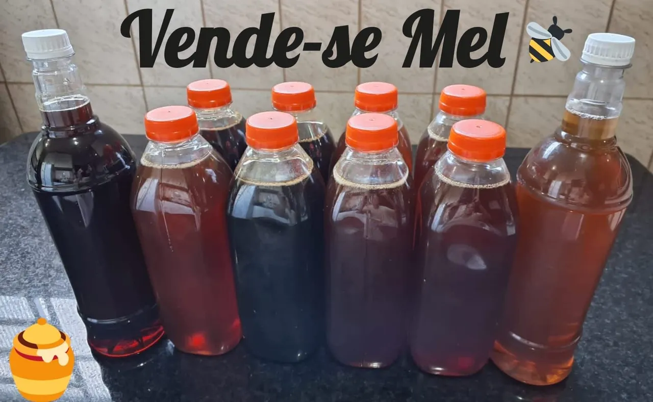 Mel puro, direto do produtor