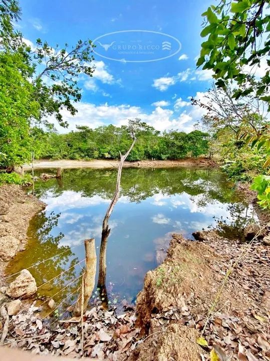 Fazenda Extra em Dueré-TO ! 301 Alqueires ! 500 Há para Lavoura - Foto 2