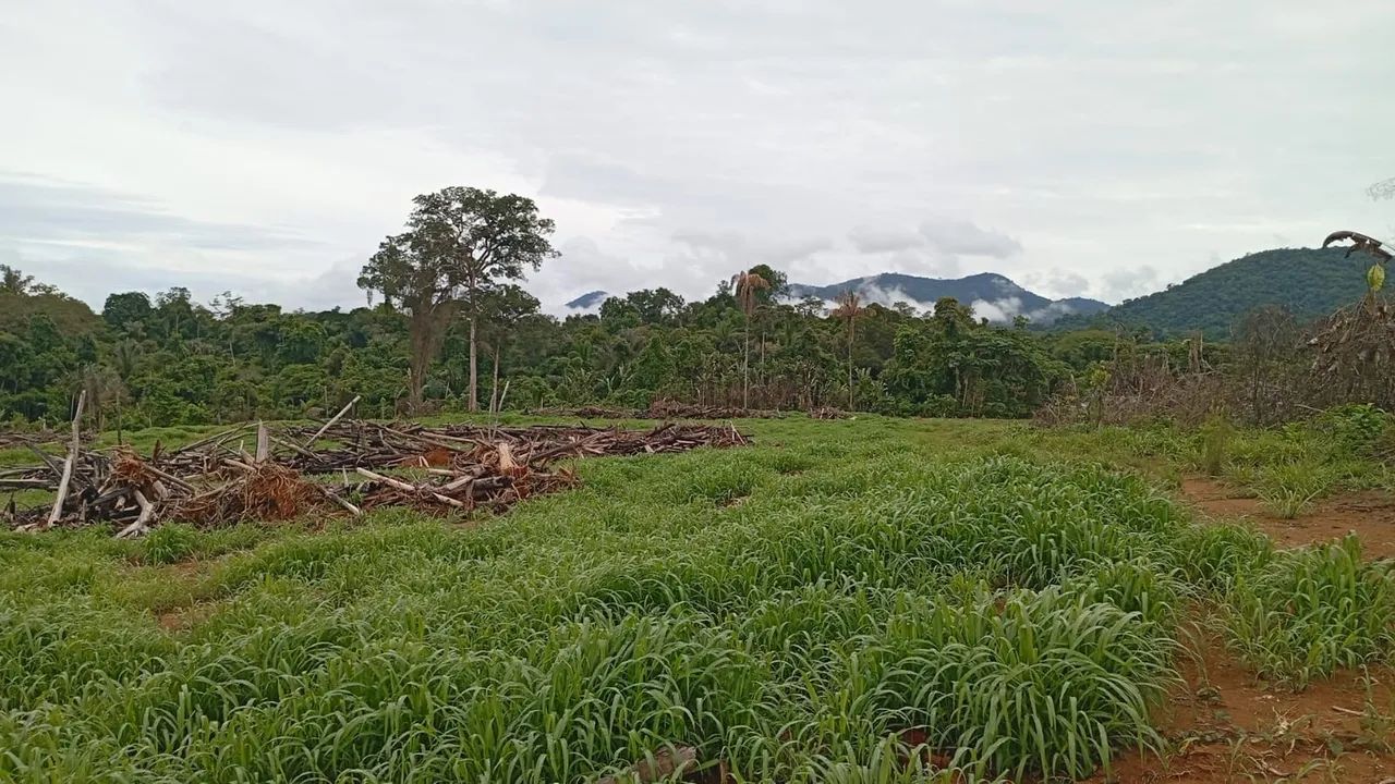 Área pra fazenda  - Foto 4