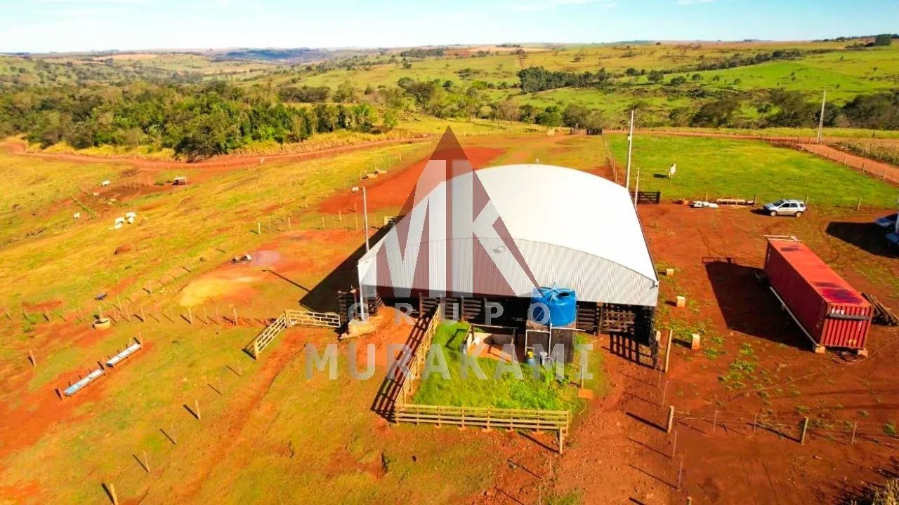 FAZENDA - NOVA AURORA - PR - Foto 3