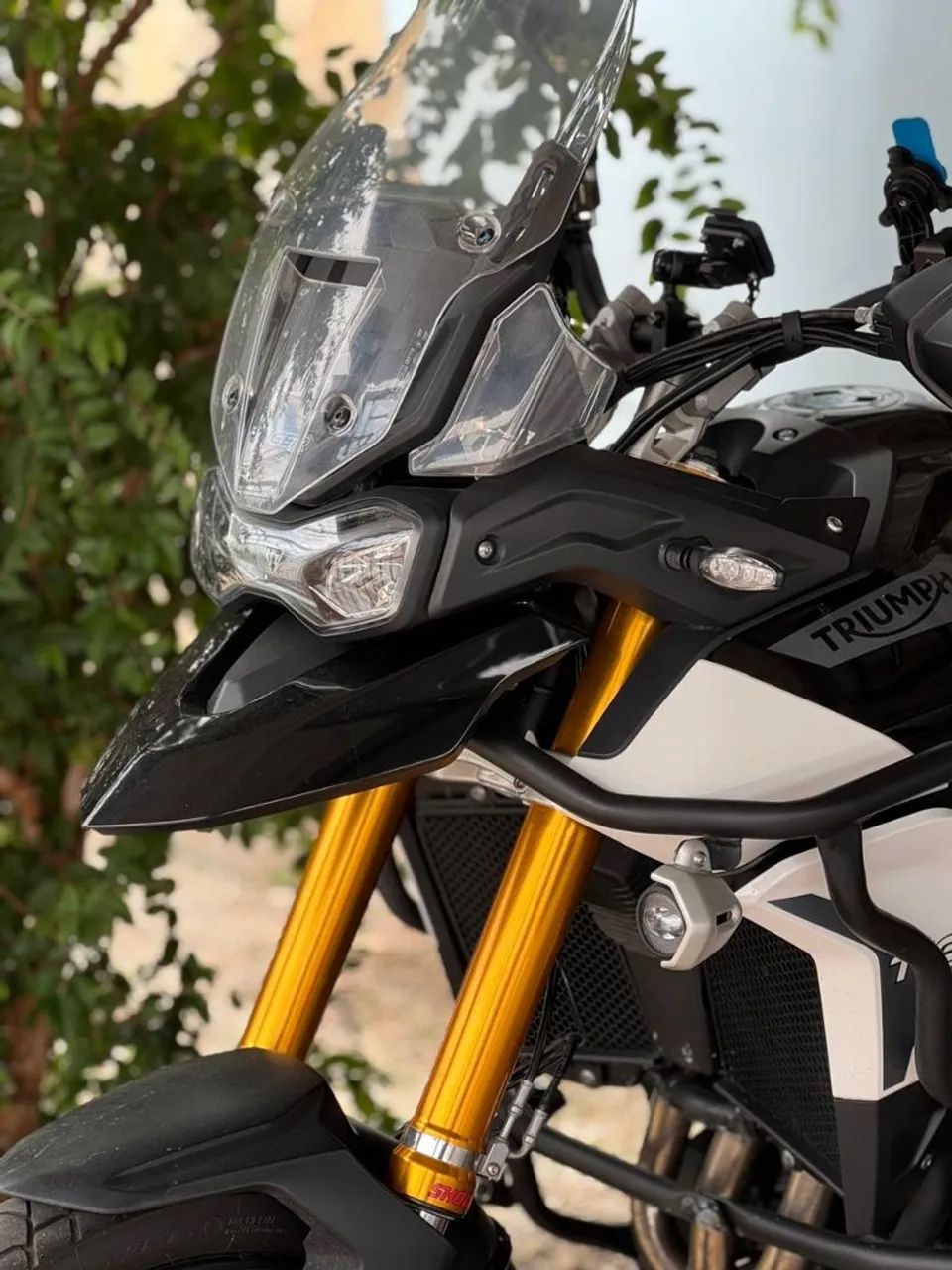 TIGER 900 RALLY 