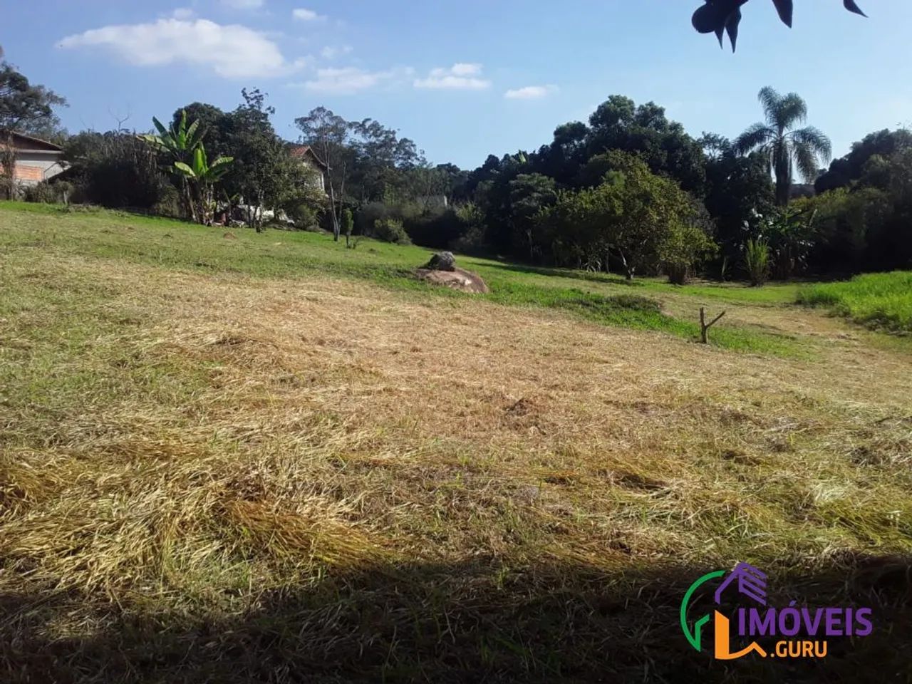 CHACARA - JARDIM ÍSIS - SP - Foto 3