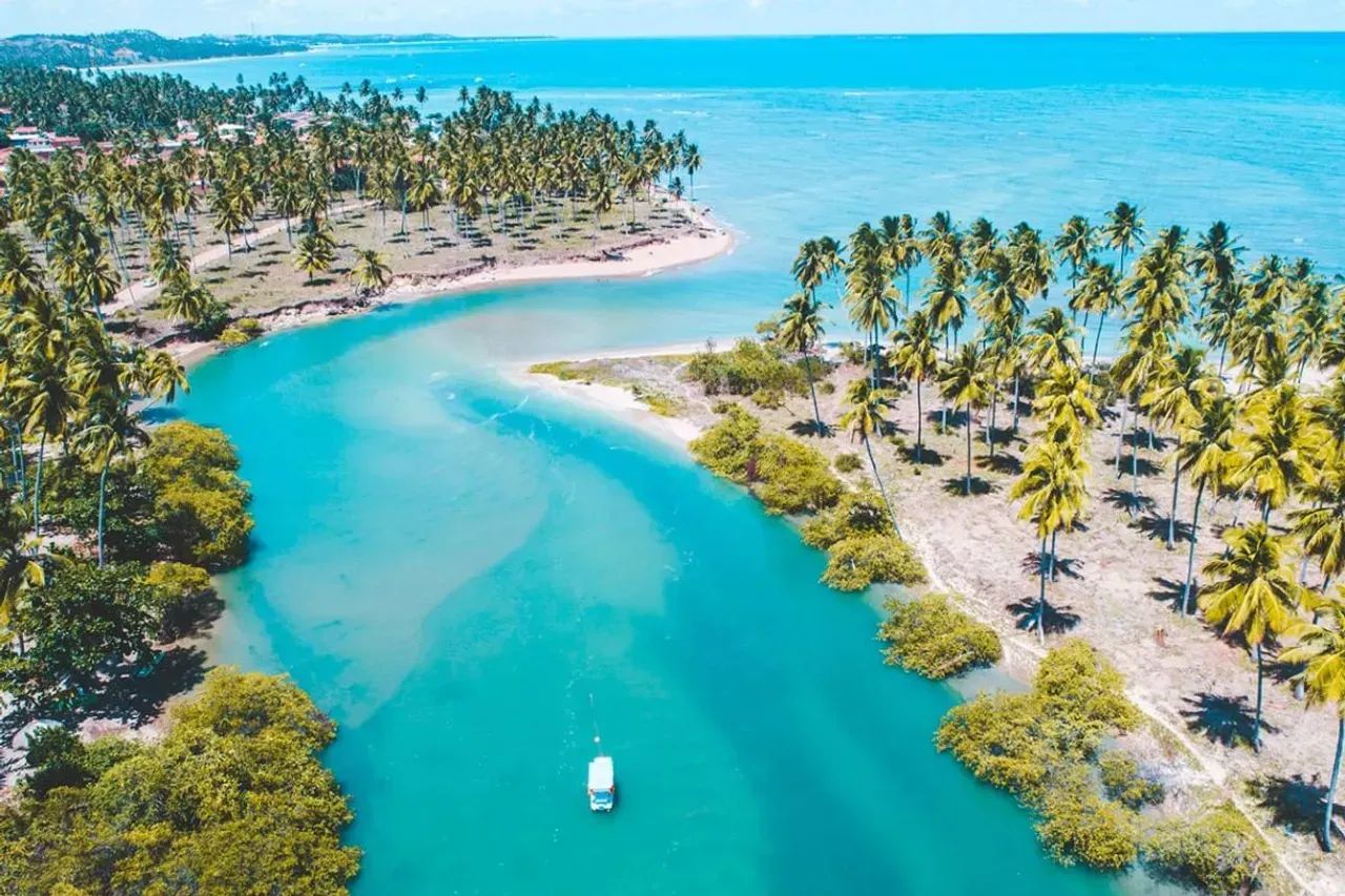 Area em Japaratinga e Maragogi /  ( O paraiso Existe) - Foto 5