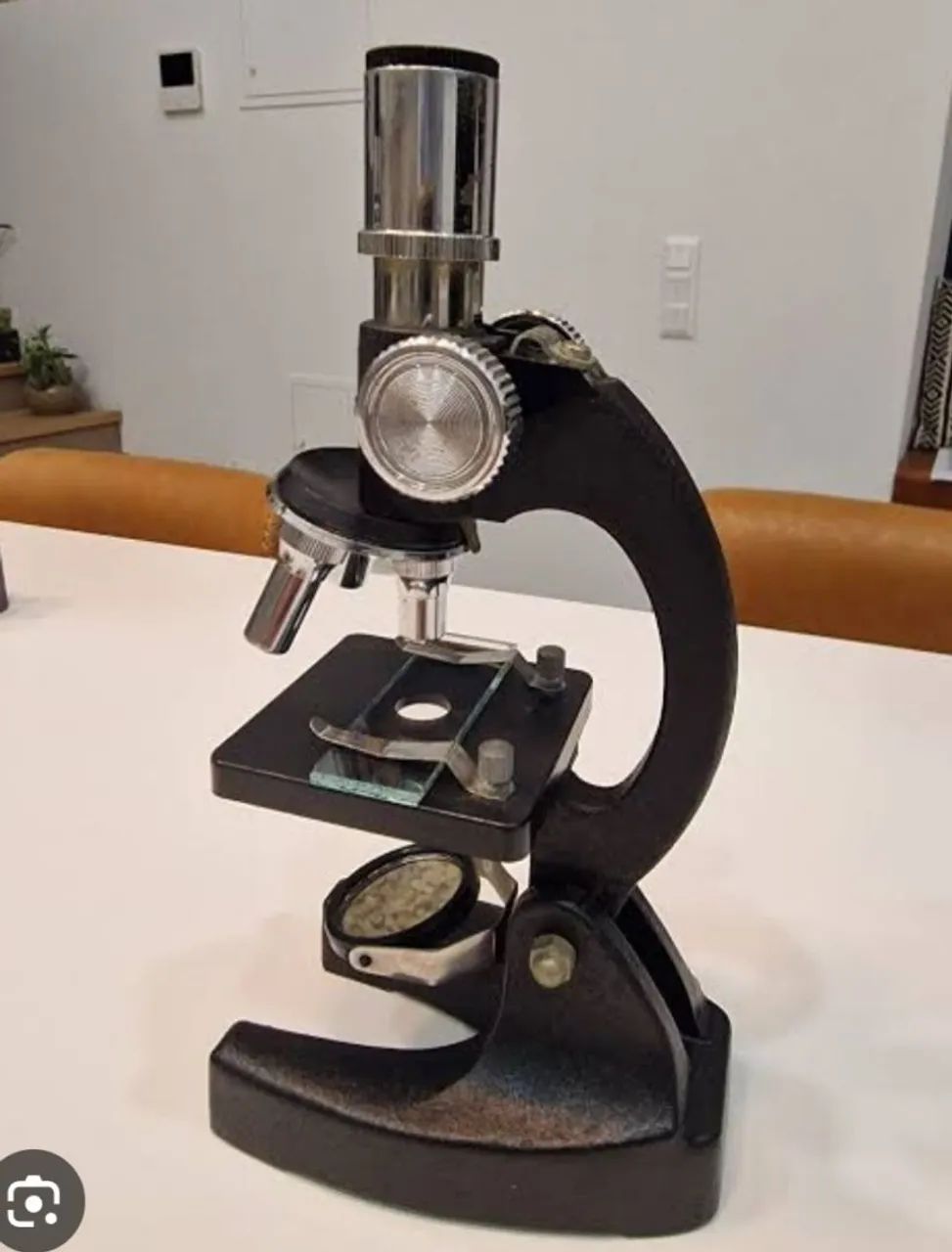 Microscopio 100x 900x