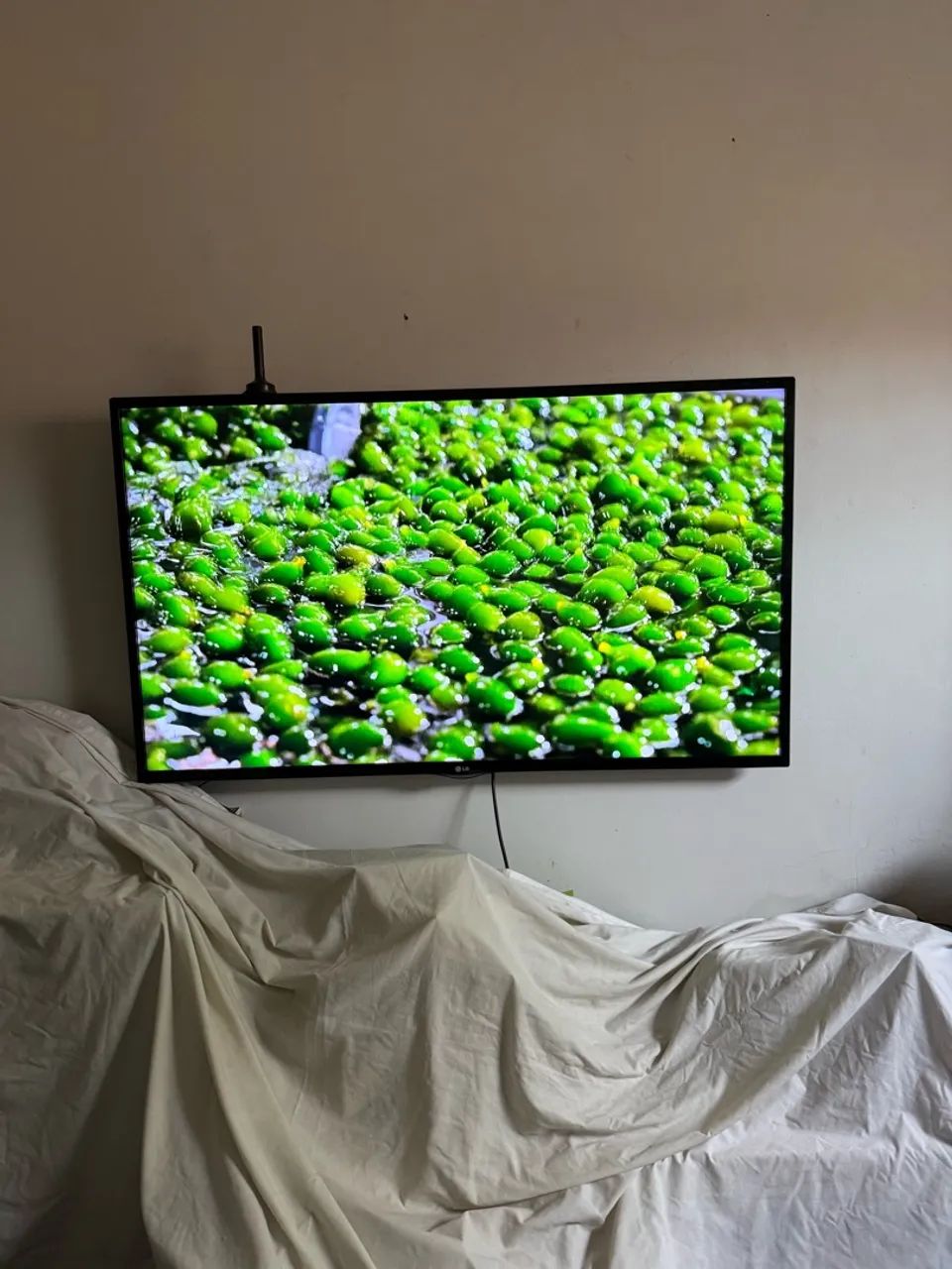 Tv 55 polegadas LG IMPECÁVEL NÃO E SMART ( aceita trocas ) - Foto 5