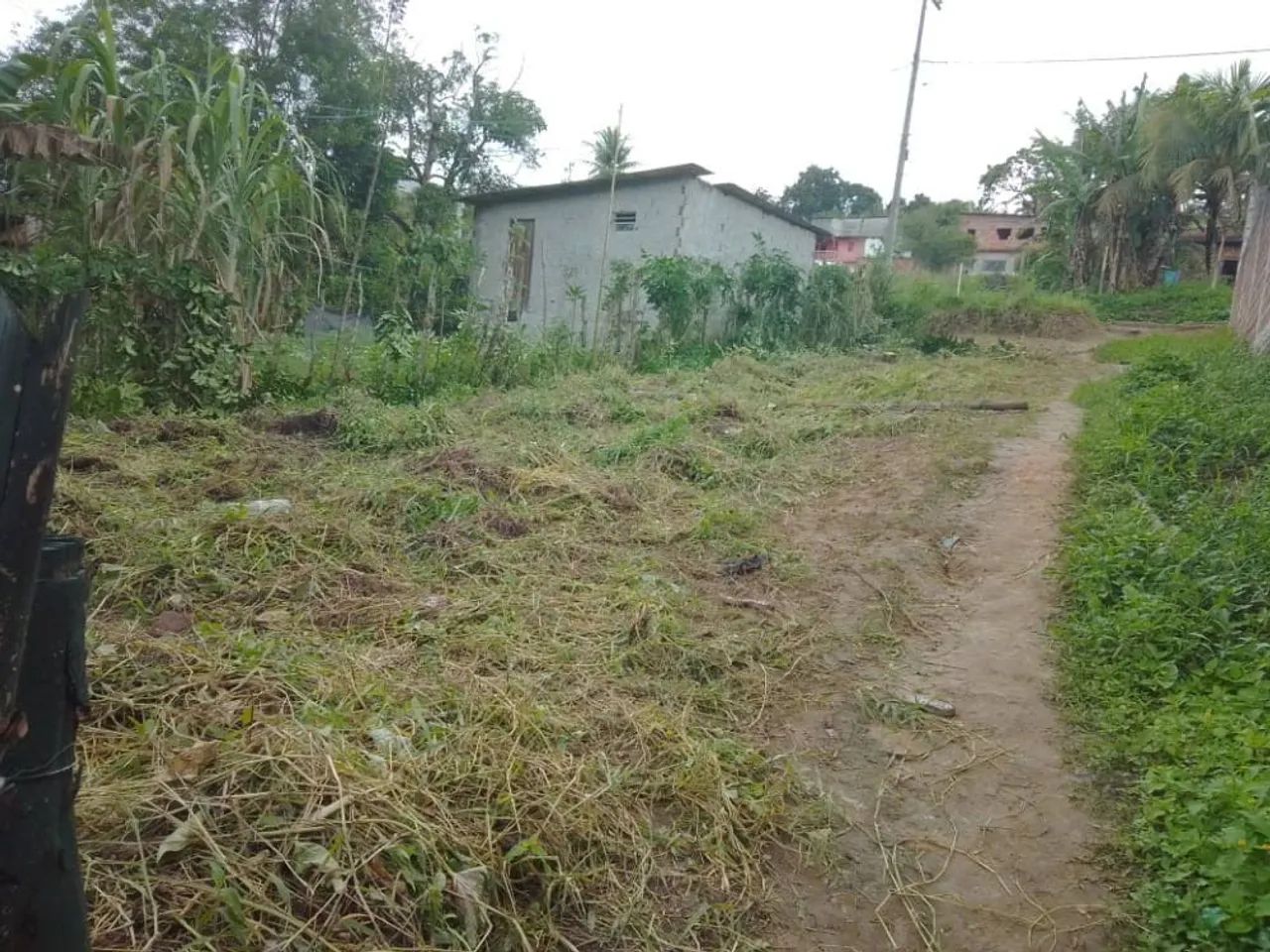 Terreno Simões Filho  - Foto 2