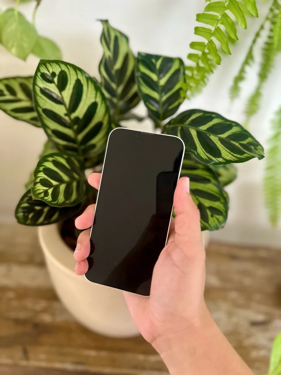 IPhone 13 128GB - Foto 4