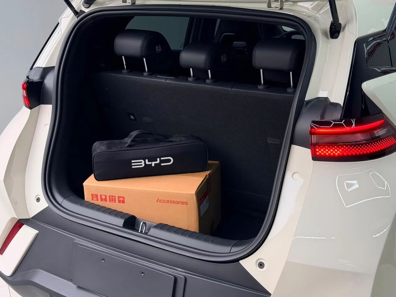 BYD Dolphin Mini (Elétrico) 2027 - Foto 5