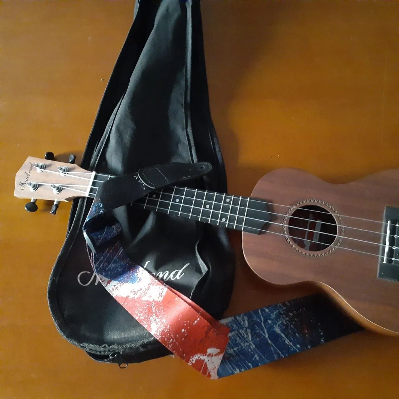 Ukulele - Foto 4