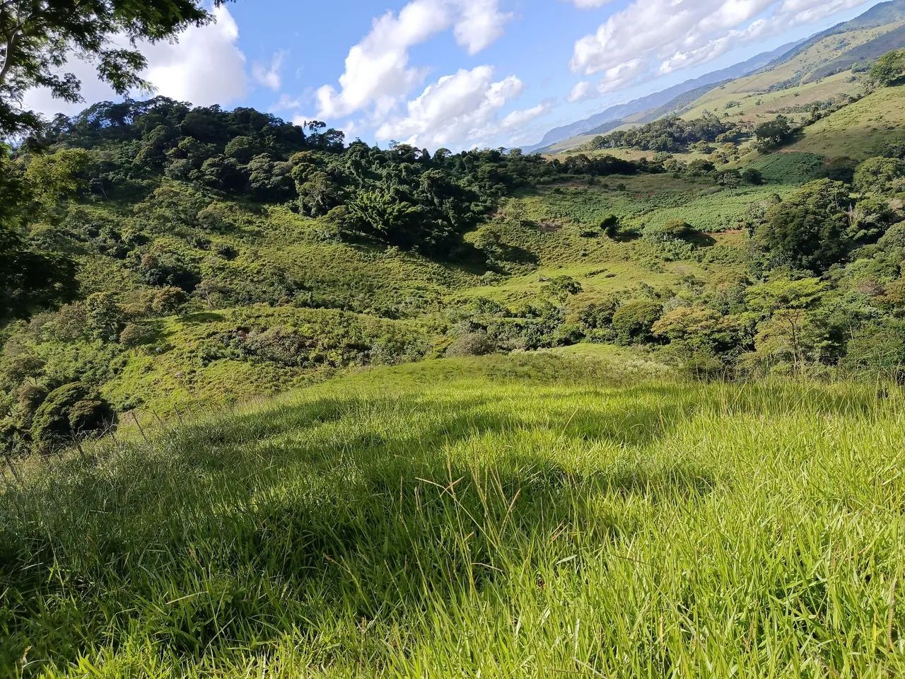 Sitio tabuleiro  - Foto 3