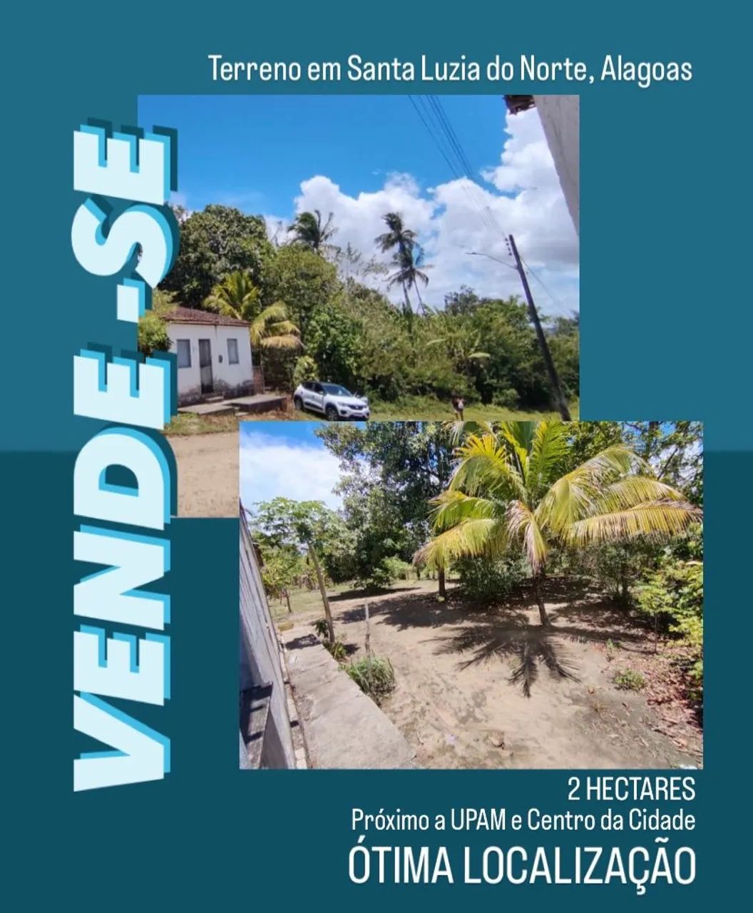 Vende-se um sítio  - Foto 2