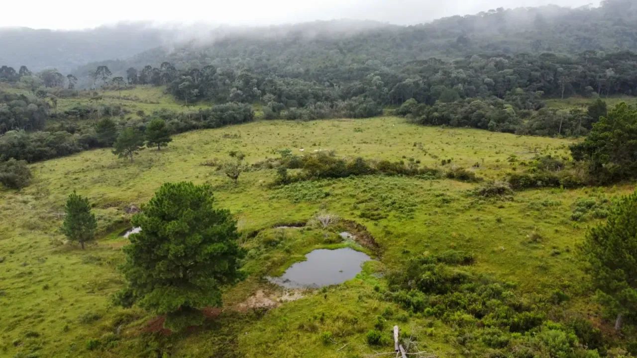 Fazenda para pecuária em Bocaina do Sul. - Foto 4
