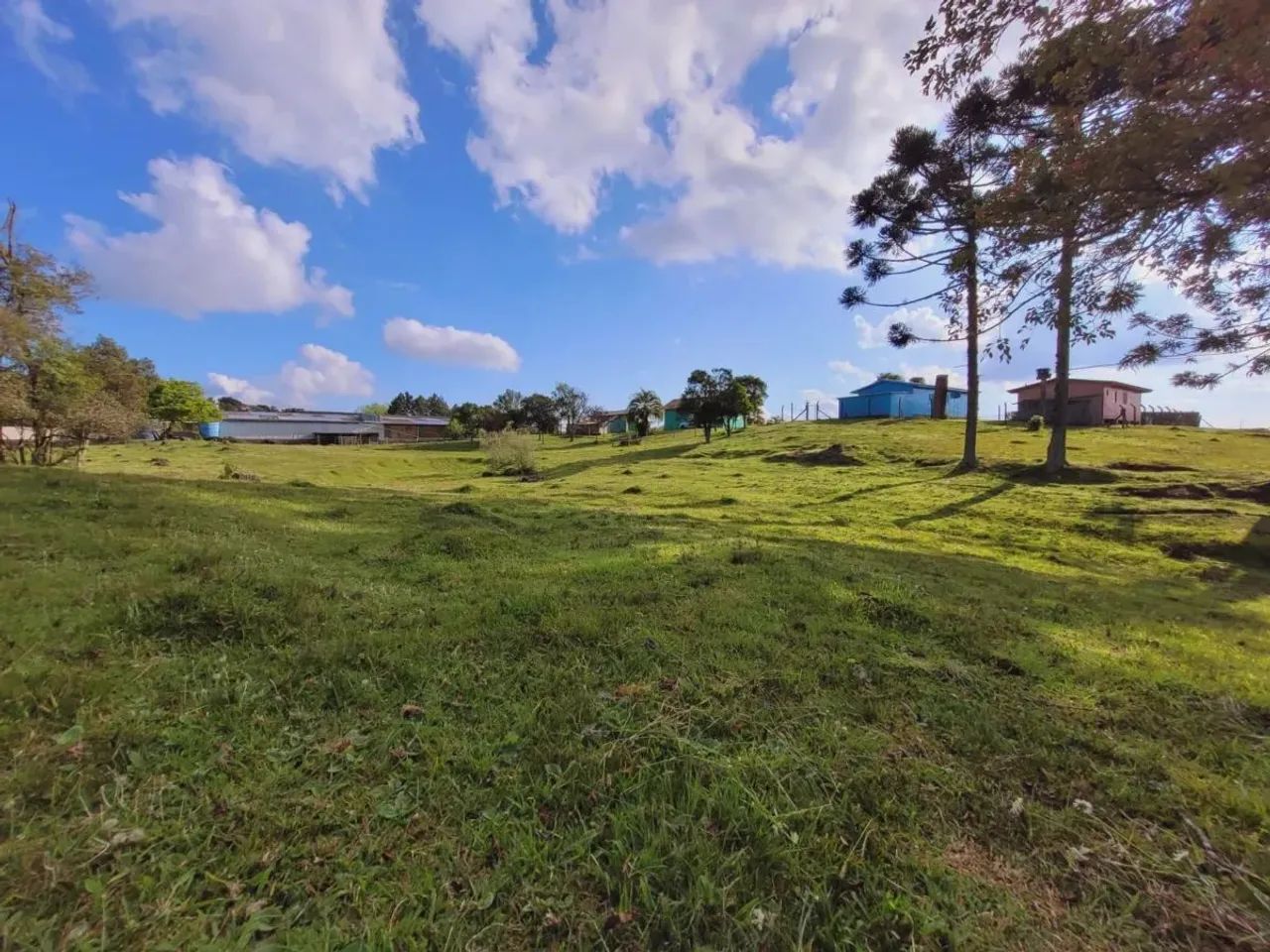 CAXIAS DO SUL - Terreno Padrão - ANA RECH - Foto 8