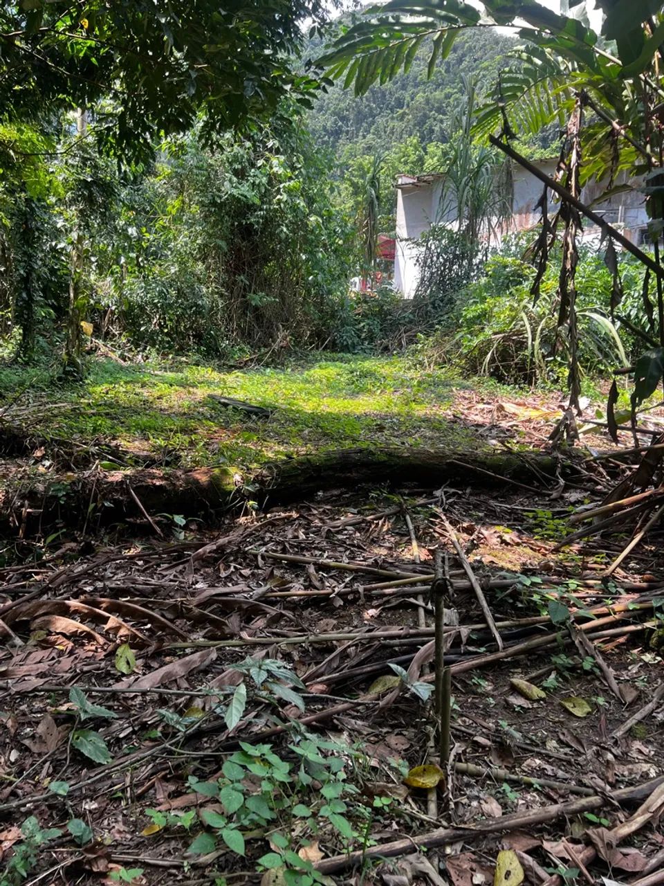 Vendo terreno no Ubatumirim  - Foto 5