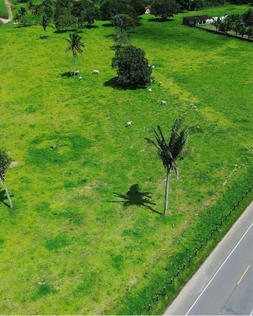 Rancho em Atalaia  - Foto 5