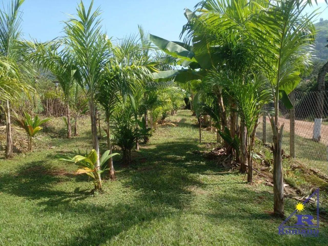 Terreno São Pedro....10.280 - Foto 4