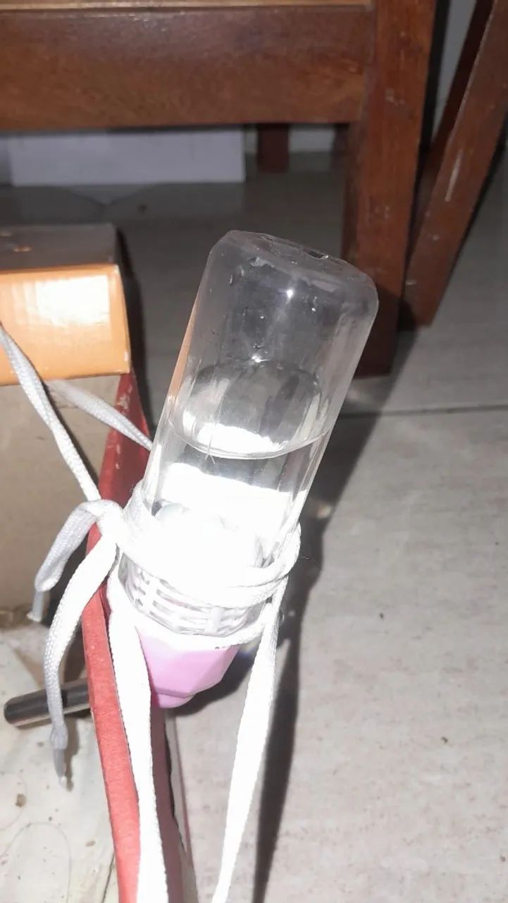 vende-se porquinho da Índia  - Foto 4