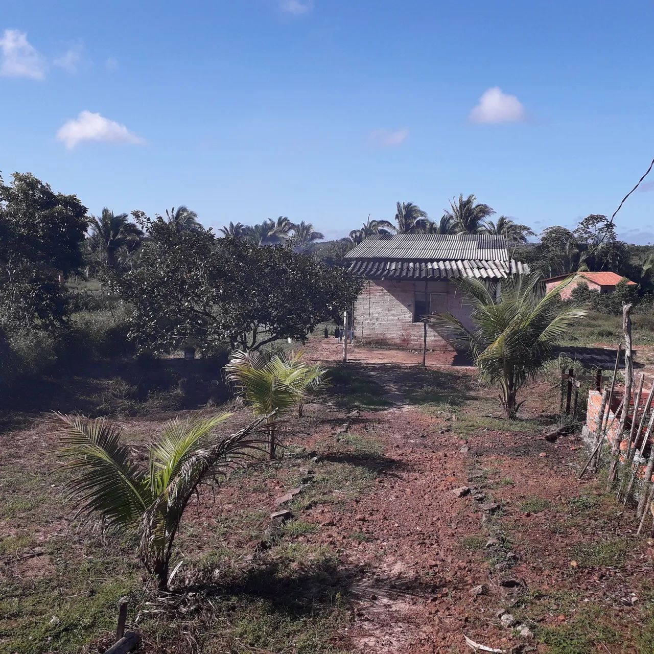 Foto - São Luís - Centro