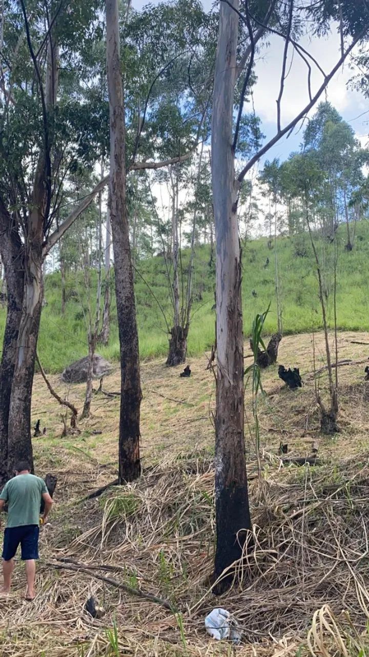 Terreno com 4000m2 próximo a rota do vinho com documentação - Foto 10