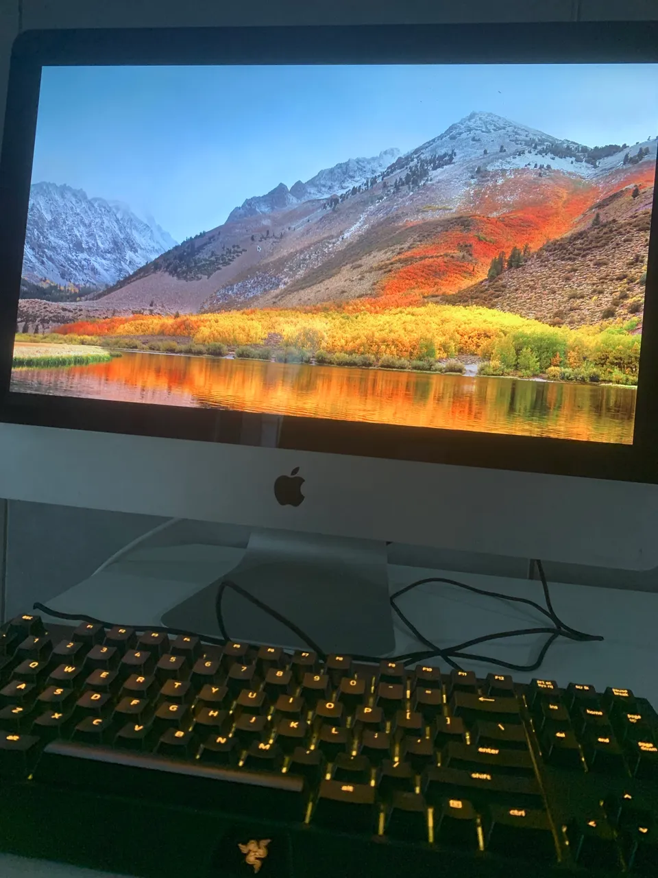 iMac 2019 21.5