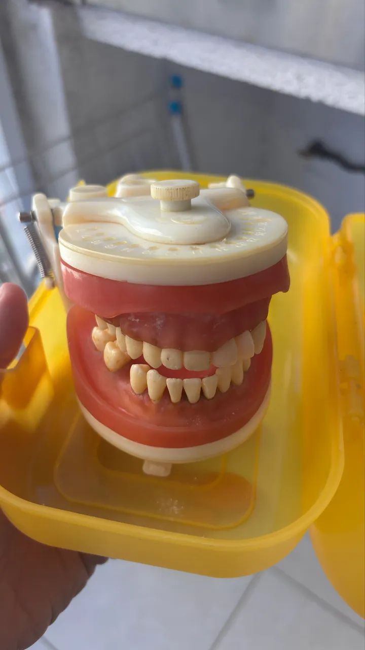 Manequim Periodontia Pronew 