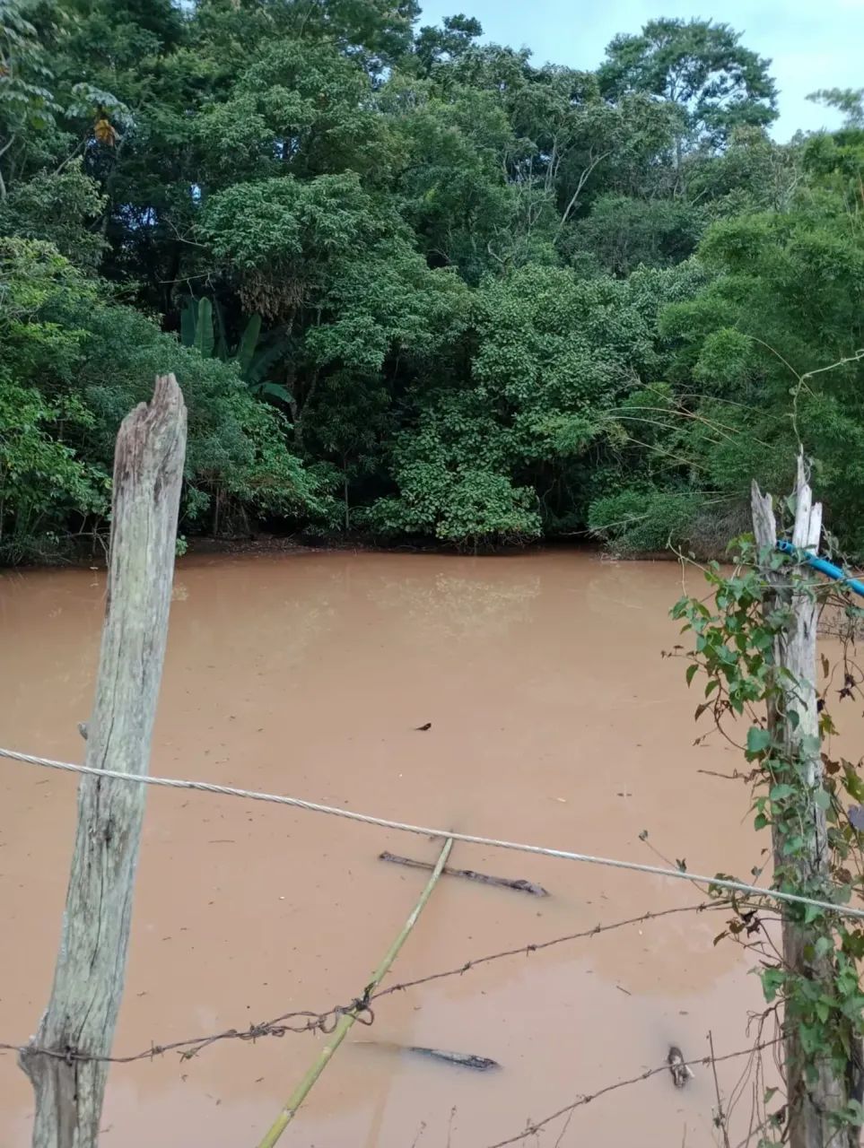 Sitio em Vargem SP perto da represa - Foto 5