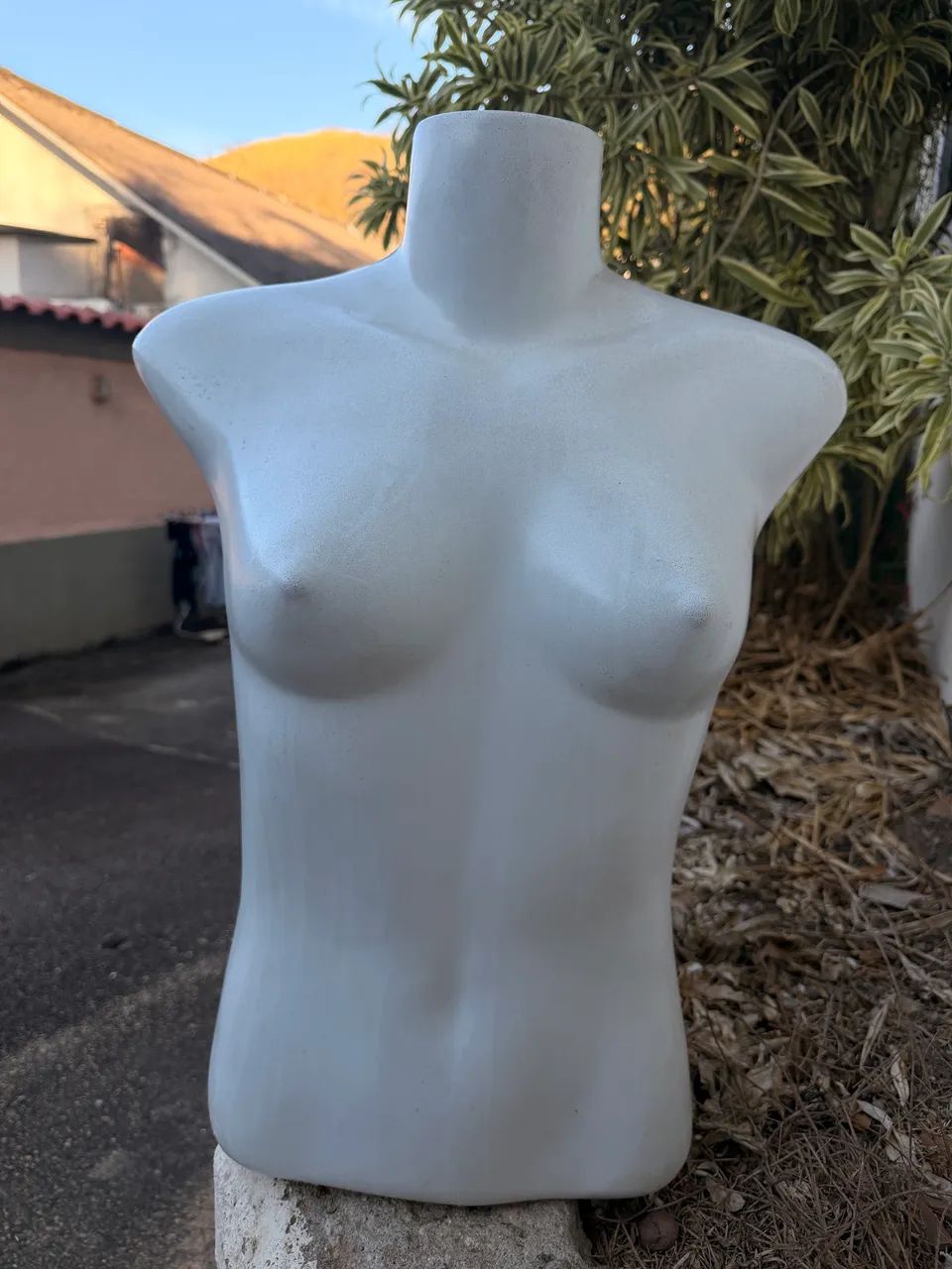 Bustos femininos
