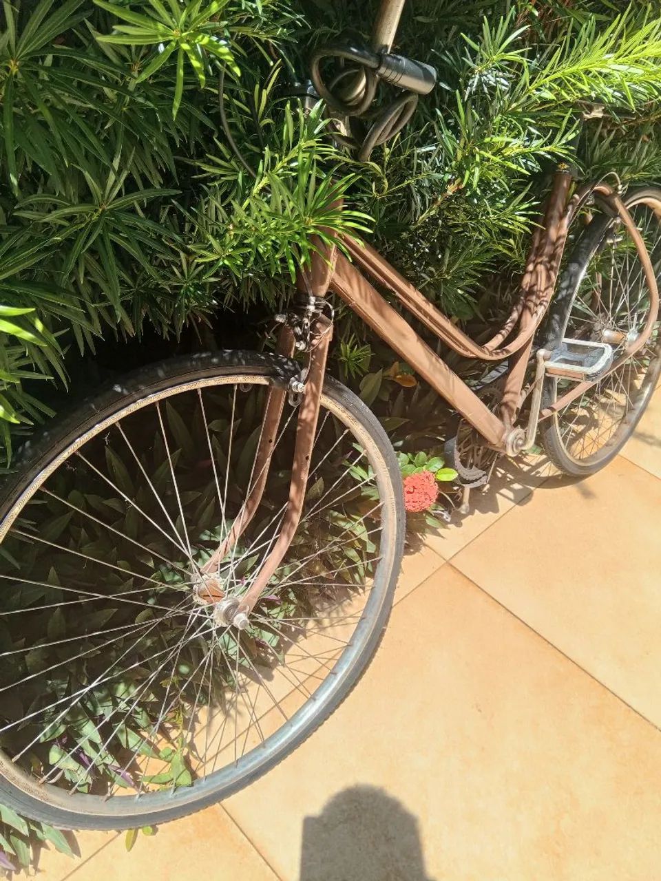 Bicicleta antiga  - Foto 2