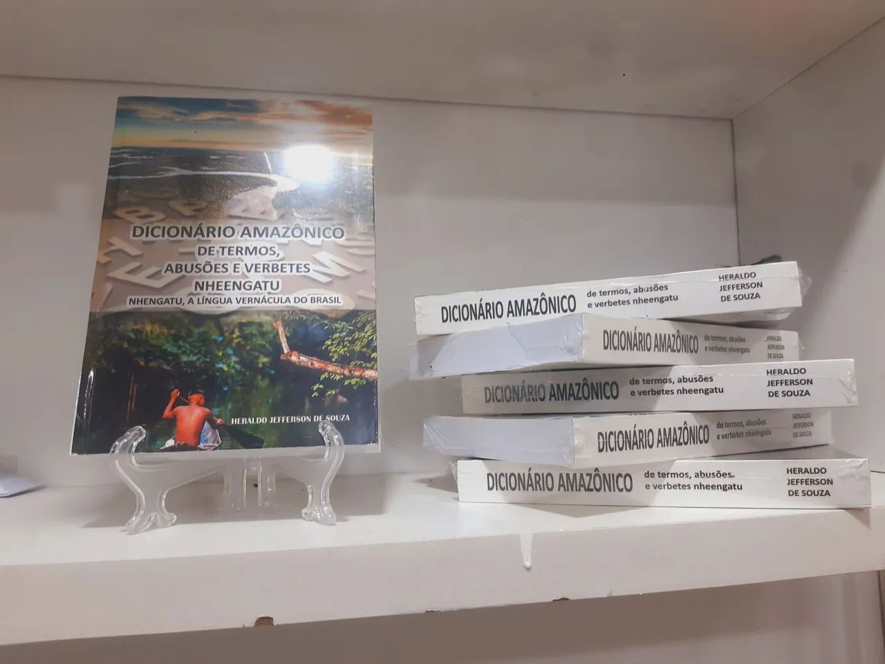 DICIONÁRIO AMAZÔNICO - Foto 4