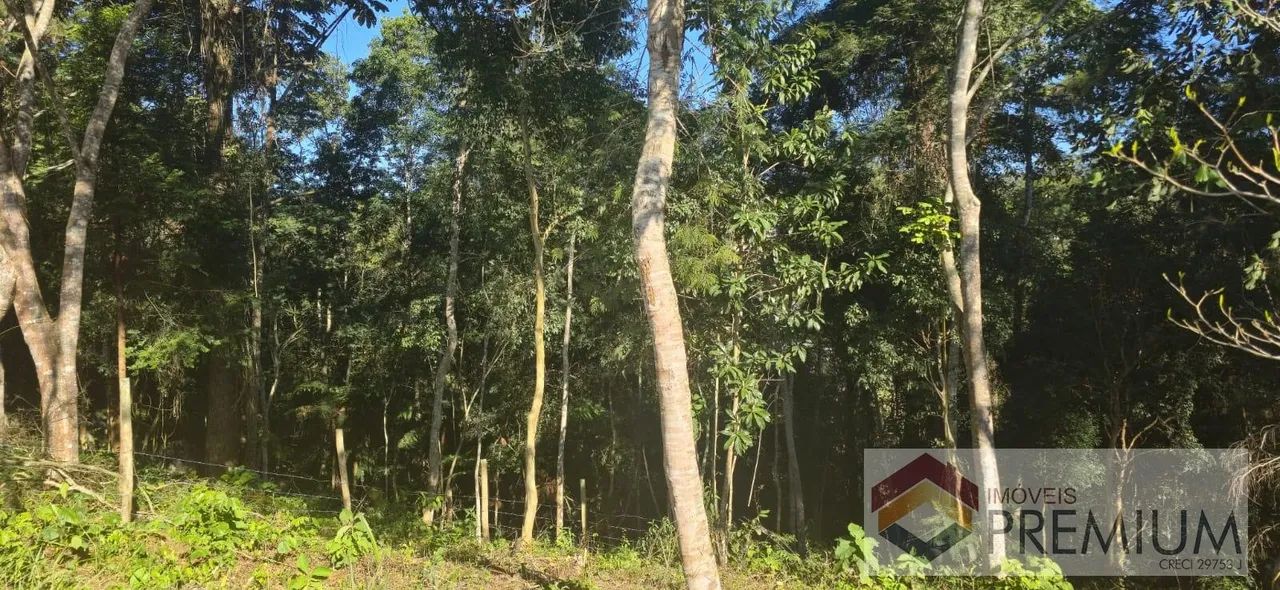Lote / Terreno em Tapanhão - Jambeiro - Foto 4